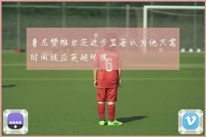 鲁尼赞维尔茨进步显著认为他只需时间适应英超环境